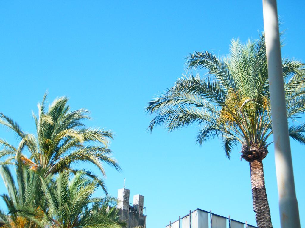 Appartamento Vacanze I Provenzali Bordighera Εξωτερικό φωτογραφία